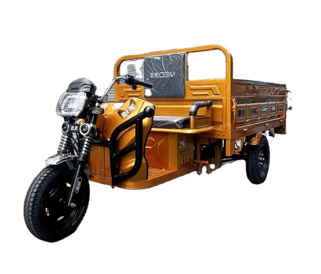 

Customized Trike 60V 1500W 3 Wheels Cargo Electric Transporter for Adults