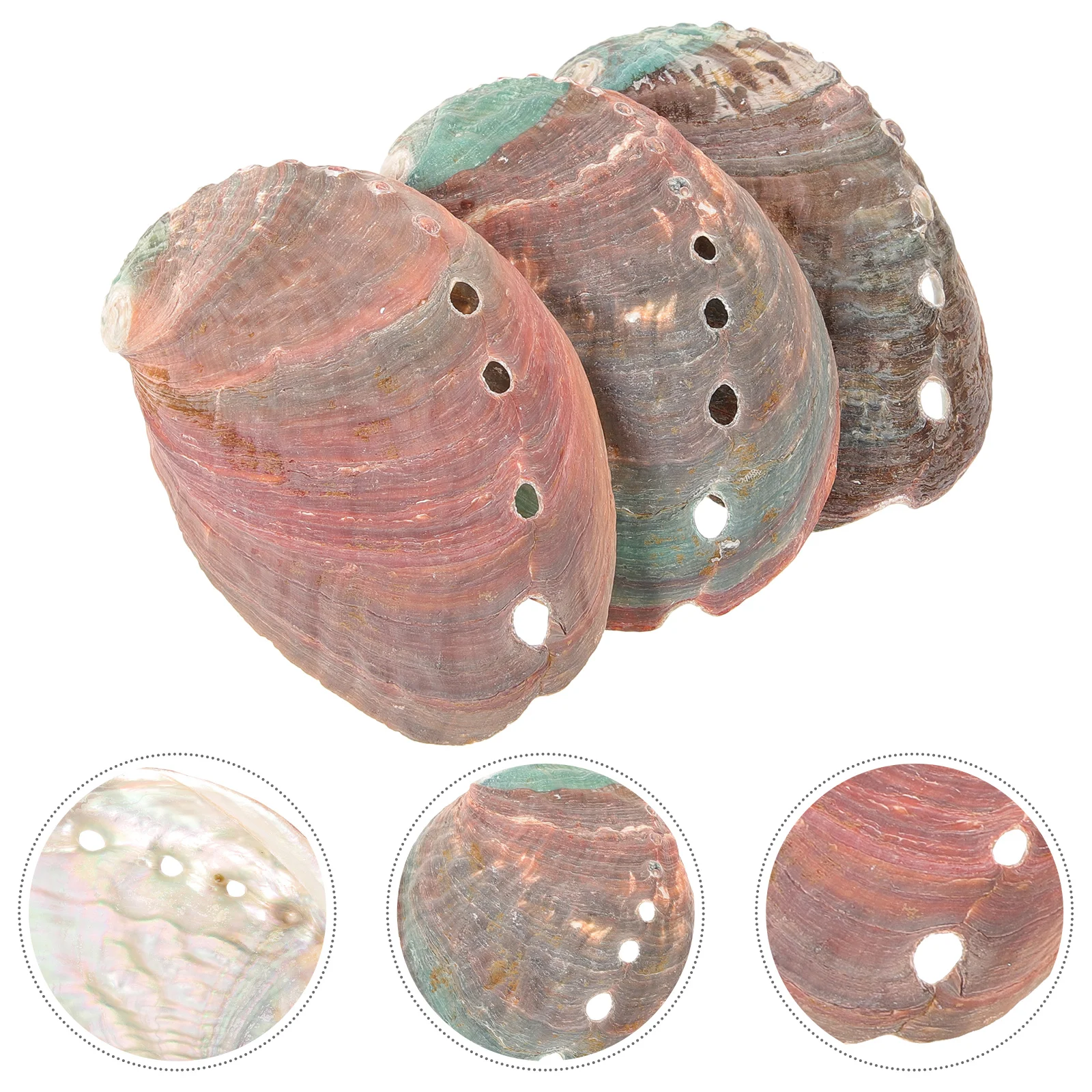 

3 Pcs Ornament Natural Shell Abalone Decorative Ornaments Offering Holder Smudging Kit Decoration Smudge