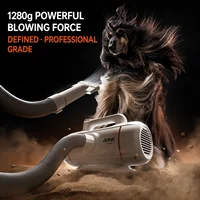 JIRPET T1 Professional Pet Dryer For Dog Cat Grooming 3000W Adjustable Speed Low Noise High Velocity Blower China Plug 220V 5