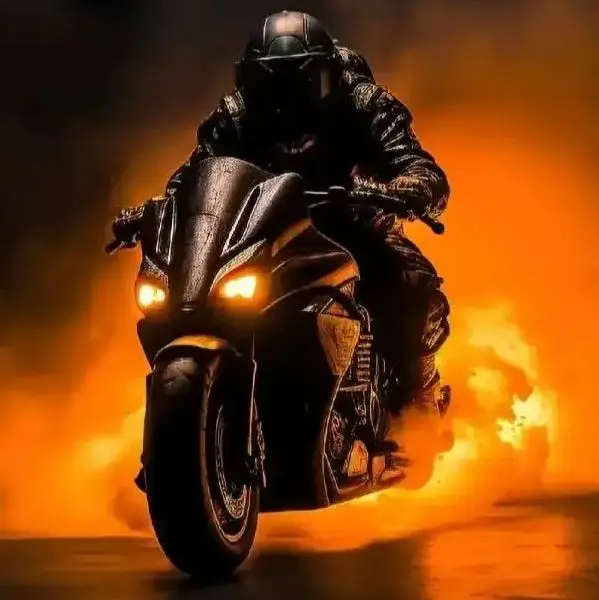 DM Motorcycle Accessories Store