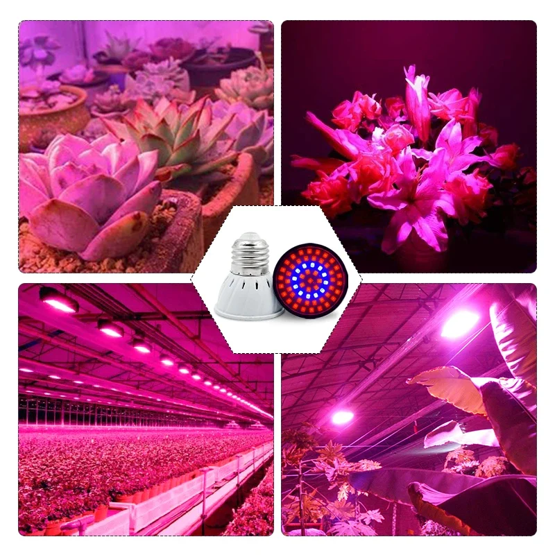 Led Grow Lamp Led Plant Light 10Pcs/Lot E27 E14 Full Spectrum Hydroponic Growth Light MR16 GU10 PhytoLamp Indoor Plants Seedlings Succulents