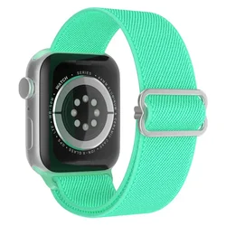 Bohemian Elastic Shiny Nylon Strap Bracelet - S10 - 46 45 44 42 49mm (Spearmint 53)