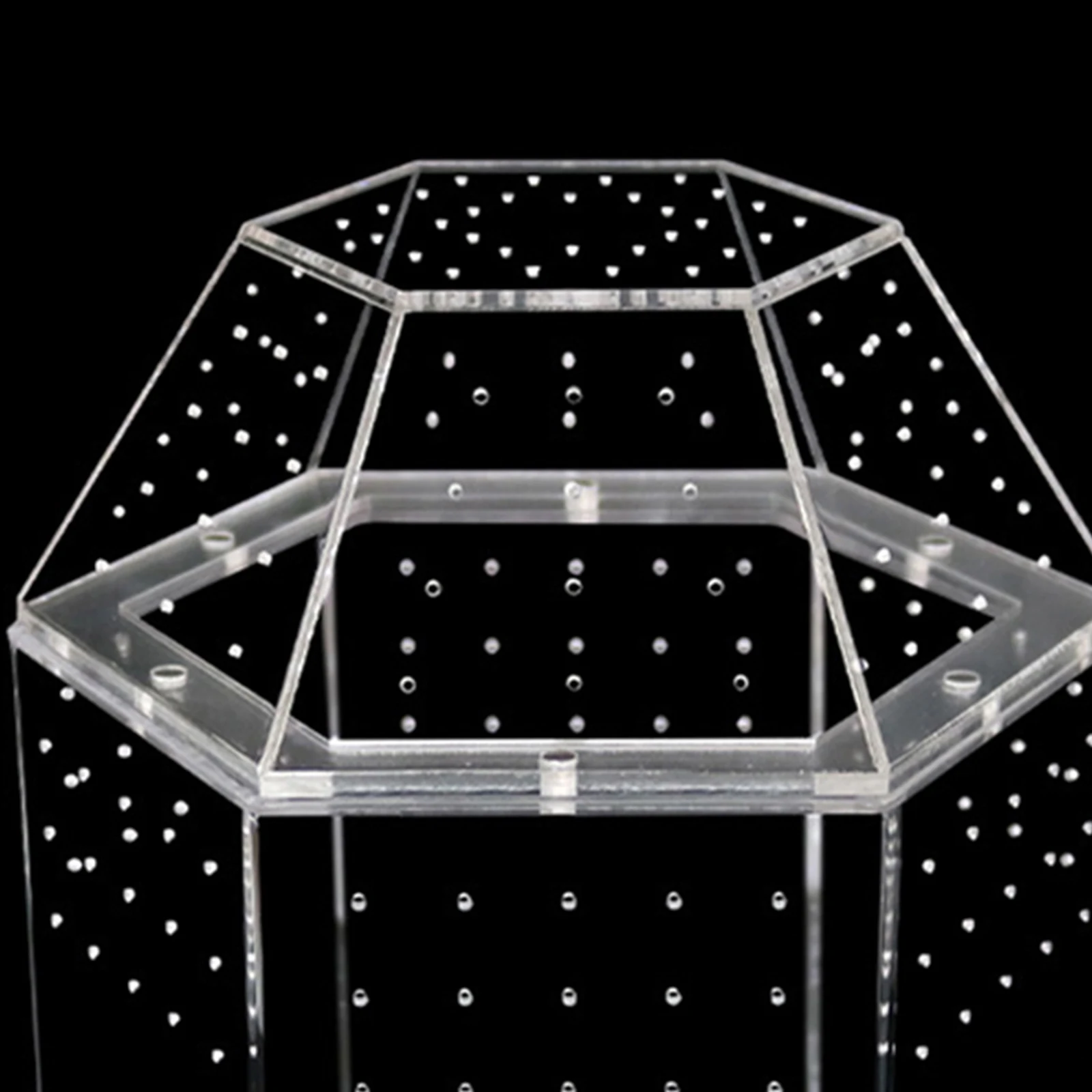 Acrylic Spider Breeding Box 5