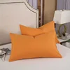 Pillowcases For The Living Room Multiple Sizes Pillow Cover Soft Comfortable PillowCase For Adults Kids 30X50cm 40X60cm 48X74cm 5