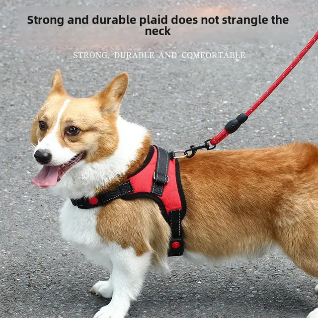 Pet Dog Leash Chest Strap Outdoor Walking Rope Explosion Proof Small Medium Large Dog Pet Supplies China Mainland Origin 2