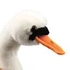 Simulation Animal  Swan Plush Toy Lifelike Swan 25 CM  10'' Penguin 22 cm Soft DollsRealLife Black White Swan Peluche Dolls Kids 5