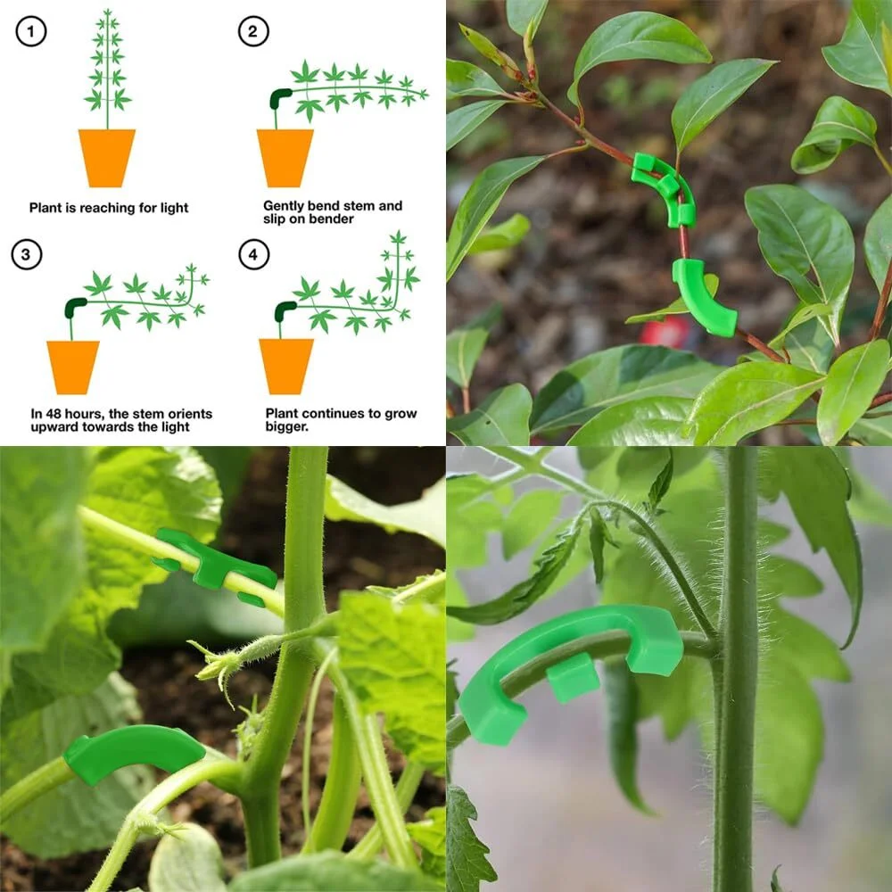 plant ties plastic plant clips plastic plant supports plant clips plant stem support plant support connector plant support stick 80 pcs Plant Stem Training Clips Low Stress Plant Bud Bender Branches Trainer Support Clips Ties Trellis Clamps
