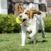 Indestructible Squeaky Dog Balls Latex Teething Toy Ball For Dogs Indestructible Outdoor Squeak Dog Toys For Small Medium And 4
