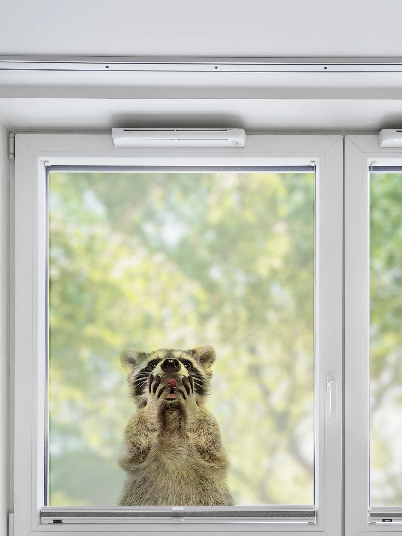 Gray Raccoon Pattern Design Window Sticker Waterproof Non Adhesive Self-Adhesive Tearable Window Sticker 1PC, window stickers