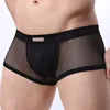 BRAVE PERSON Men Mesh Boxers Underwear Sexy Bulge See-through Penis Pouch Low Waist Male Panties Erotic Transparent Man Lingerie 1