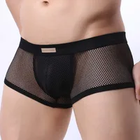 BRAVE PERSON Men Mesh Boxers Underwear Sexy Bulge See-through Penis Pouch Low Waist Male Panties Erotic Transparent Man Lingerie 1