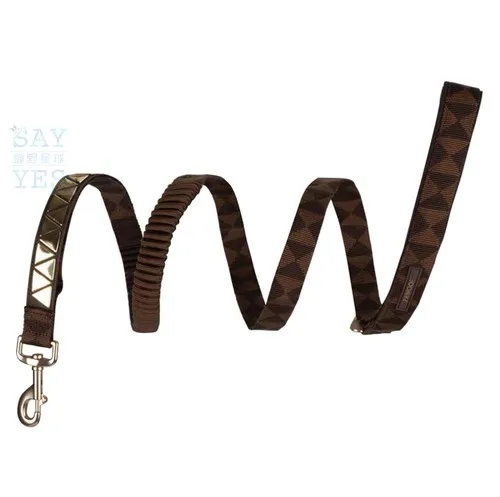 dog leash4