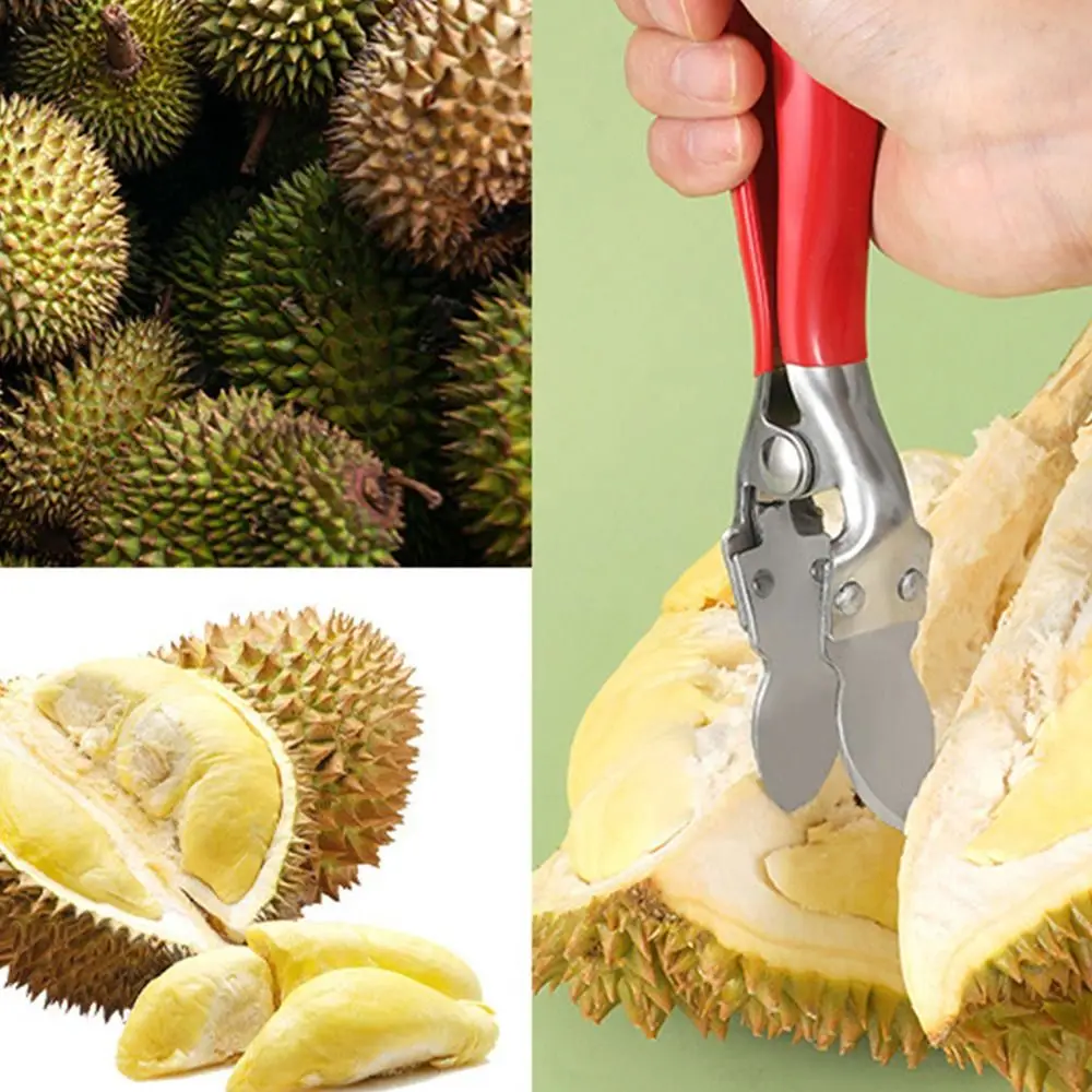 Durian Opener Clip Pliers Durian Peel Breaking Tool for Restaurant Household Cooking Stainless Steel