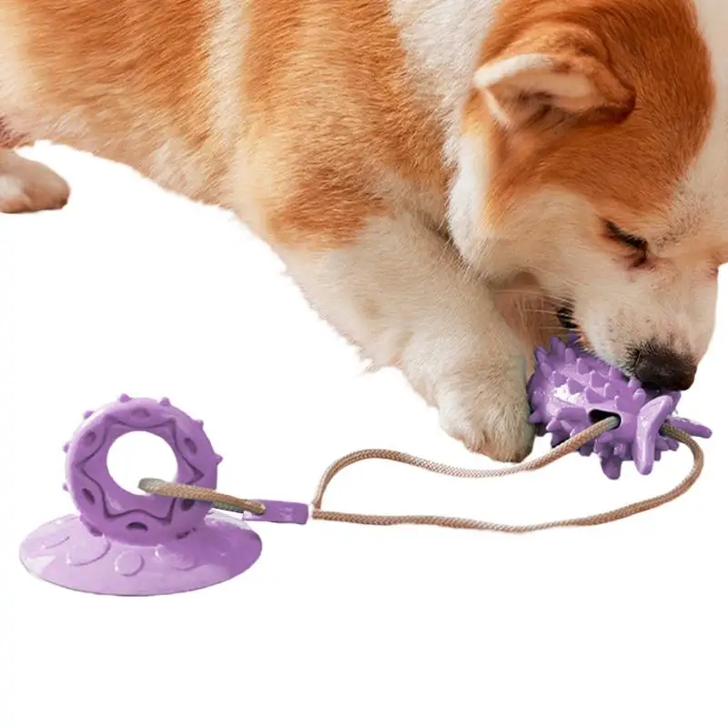 

Suction Cup Dog Toy Interactive Dog Teeth Grinding Toy Elastic Ropes Chew Dispenser Toy For Dogs Puppy Playing Pet Toy Supplies