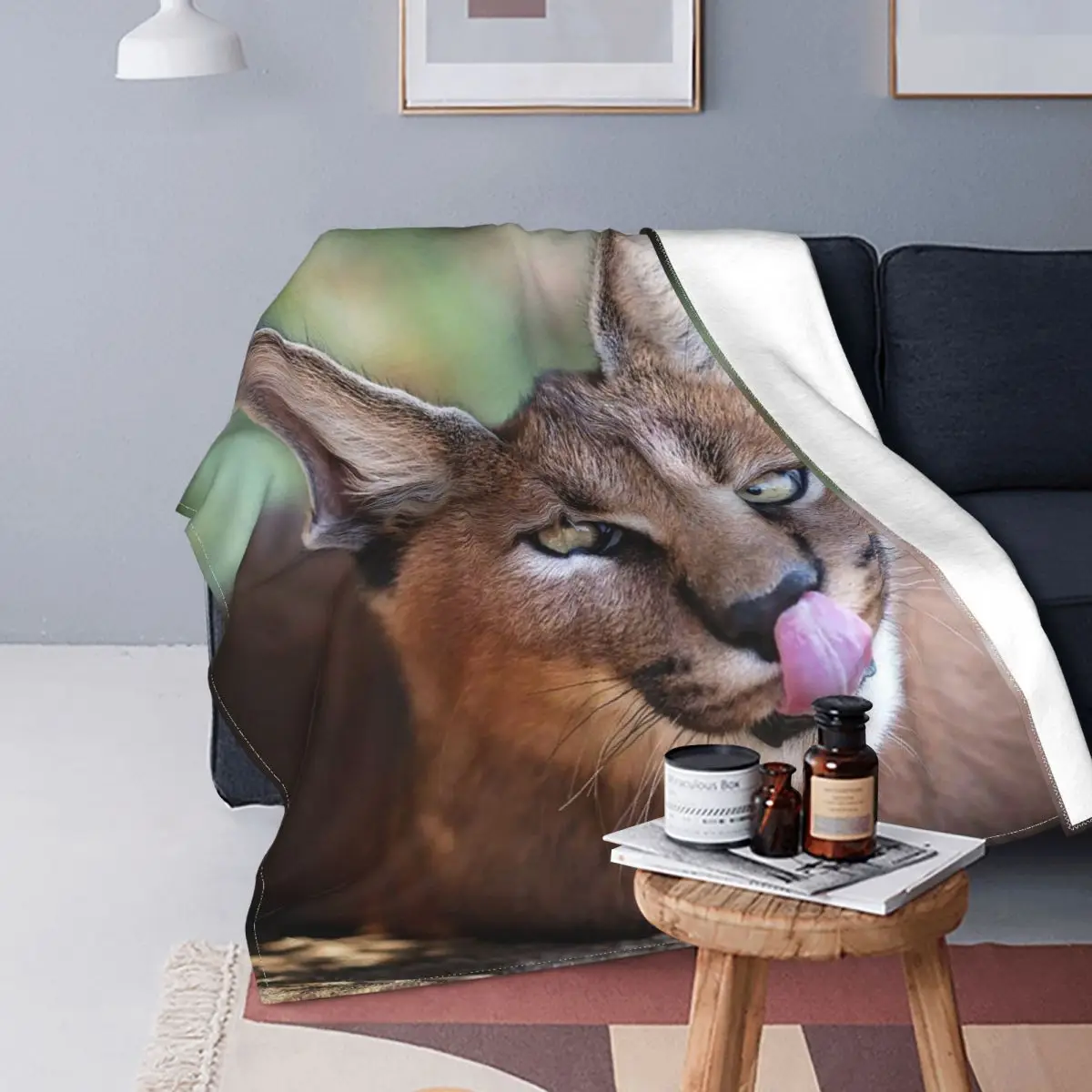 Caracal gato cobertores floppa animal flanela novidade macio lance cobertor  para cama lounge verão - AliExpress