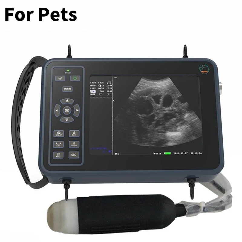 Slide image undefined