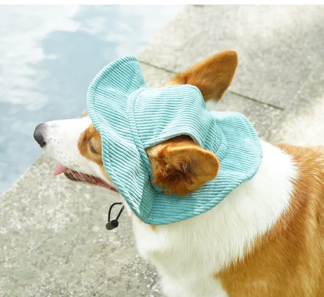 Adjustable Cat Hat Pet Fisher Cap Dog Sun Hat With Ear Hole For Visor Sun  Grooming Cosplay Camping Cat Supplies Dog Accessories - AliExpress