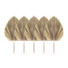 5Pcs Natural Dried Palm Leaves Tropical Dried Palm Fans Boho Dry Leaves Decor Kitchen Wedding 1