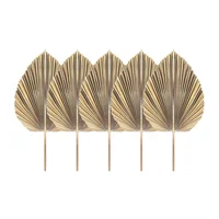 5Pcs Natural Dried Palm Leaves Tropical Dried Palm Fans Boho Dry Leaves Decor Kitchen Wedding 1