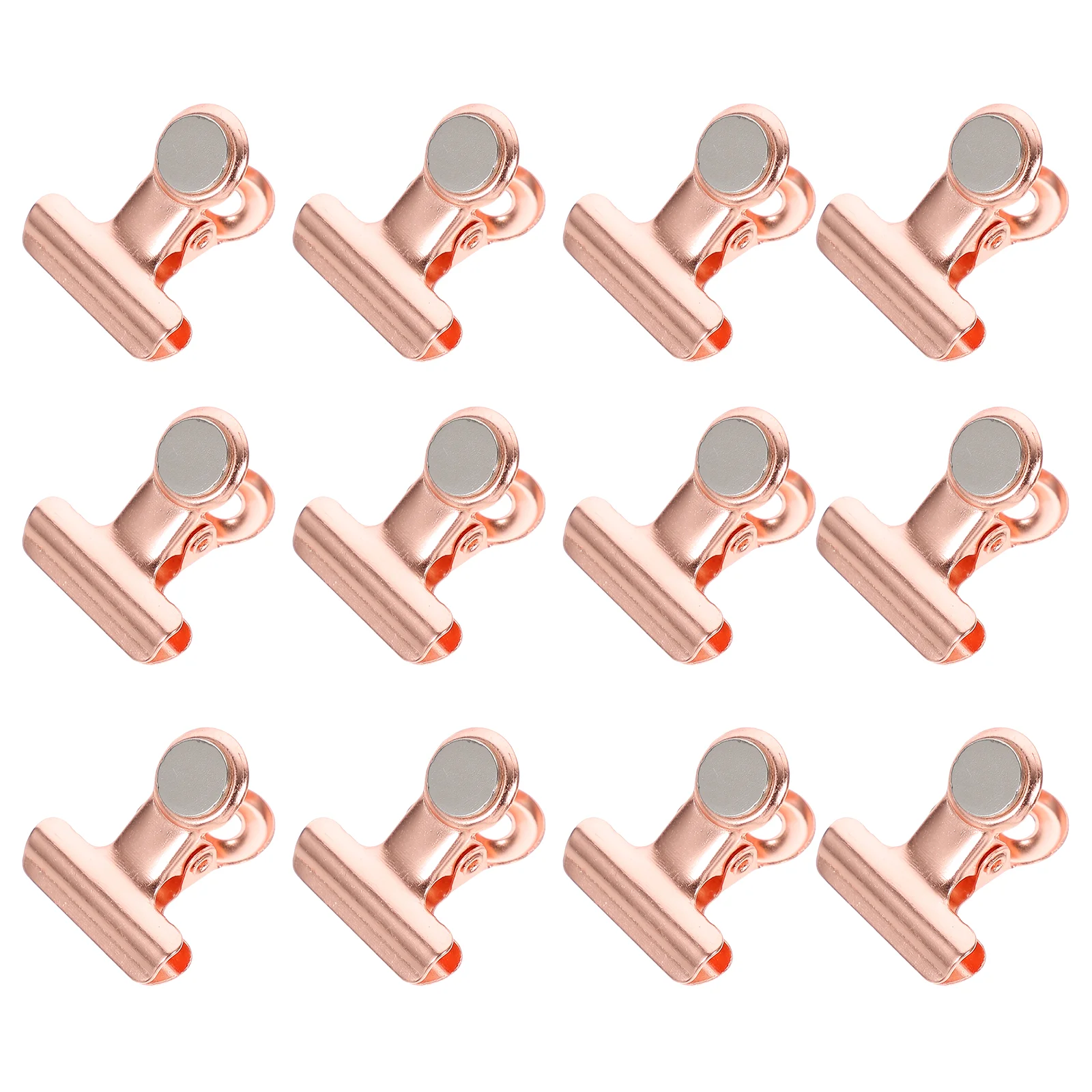 12Pcs Refrigerator Whiteboard Clip Photos Calendar Craft