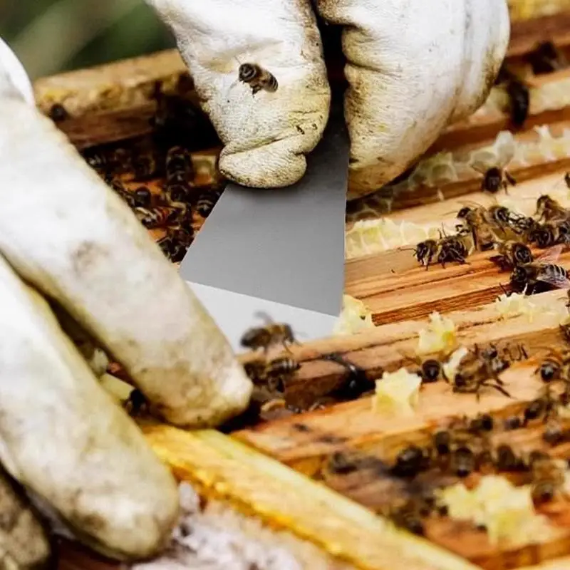 1Pcs Stainless Steel Beehive Scraper Multifunctional Scraper Bee Knife Beekeeping Honey Cutter Honey Scraping Beekeeping Tools