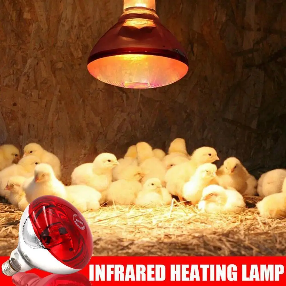 Reptile Heating Lamp Reptile Light Bulb Reptile Lamp Bulb Heating Lamp Bulb Poultry Heating Bulb Pet Infrared Basking Spot Lamp Farm Light Thermal Preservation Lamp Reptile Heat Thermal Heat Animals Warm Chicken Pig D1W9