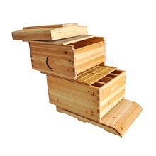  Hive for Bees Golden Palace Automatic Flows hive 2 Beehive 7pcs Super Box Free Flows Frame 