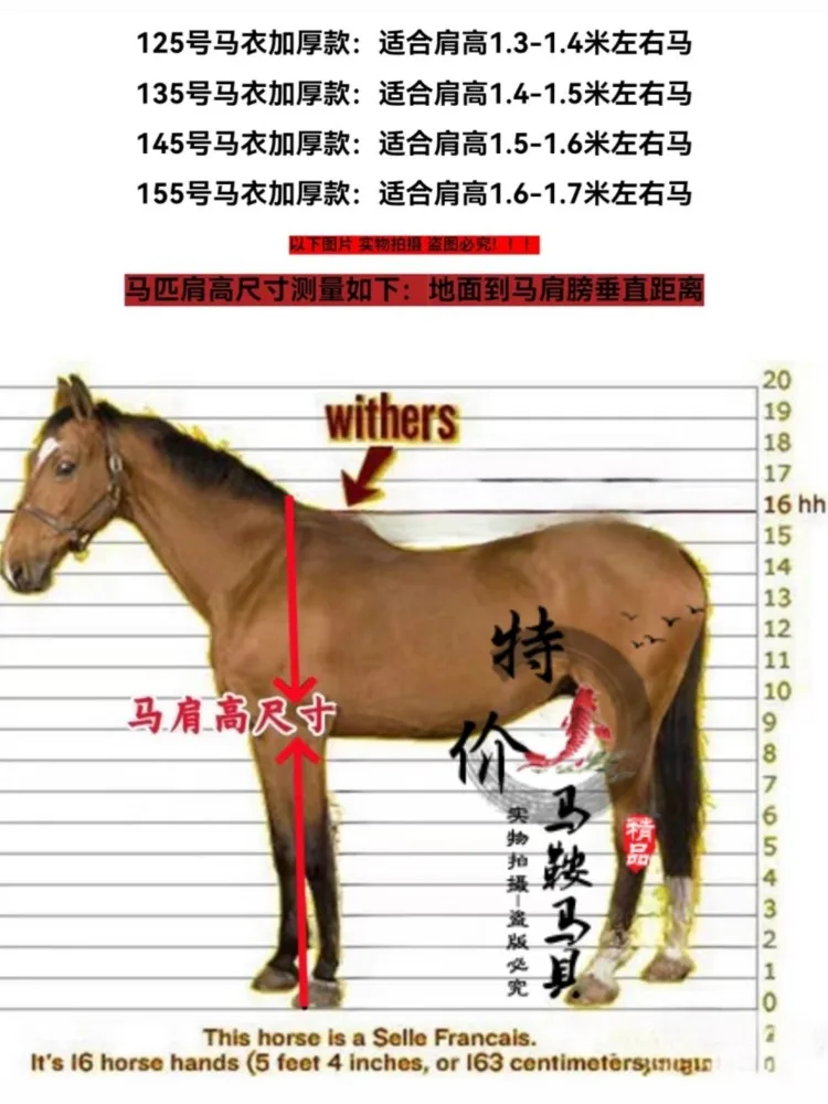Winter Horse Clothing, Thickened And Cotton Plus Size Horse Blanket