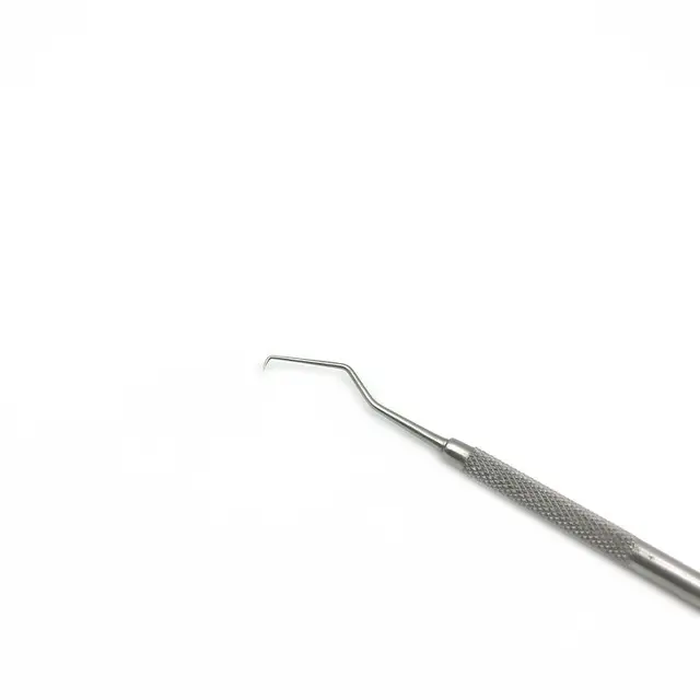 Double-ended Design Tooth Scaler Dentistry Instrument Dental Examine Teeth Cleaning Tool Stainless Steel Tooth Care Tool 3