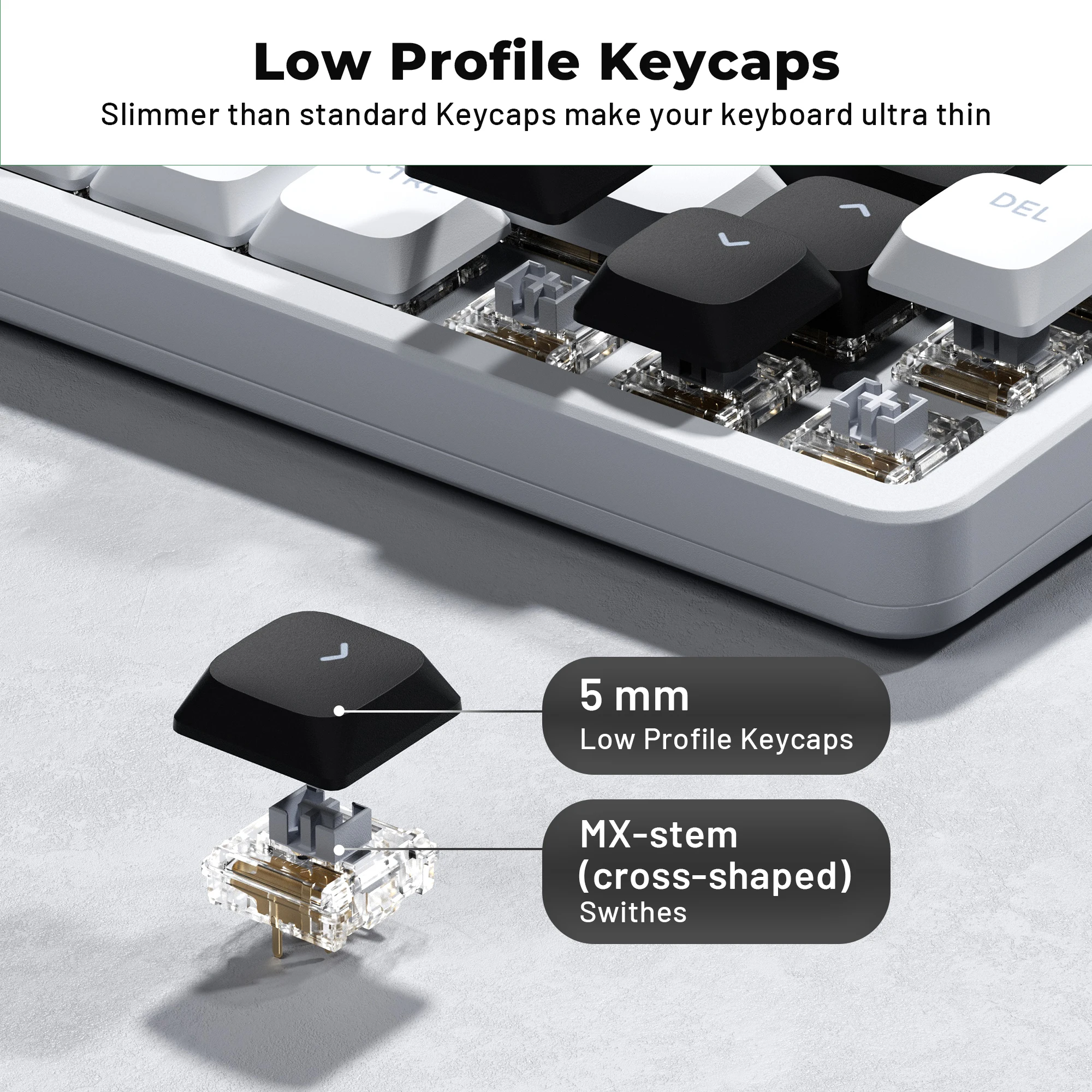 キーボード BOXXX KEYCAP THINK_AMA R2 キーボード BOXXX KEYCAP THINK_AMA R2 キーボード BOXXX KEYCAP