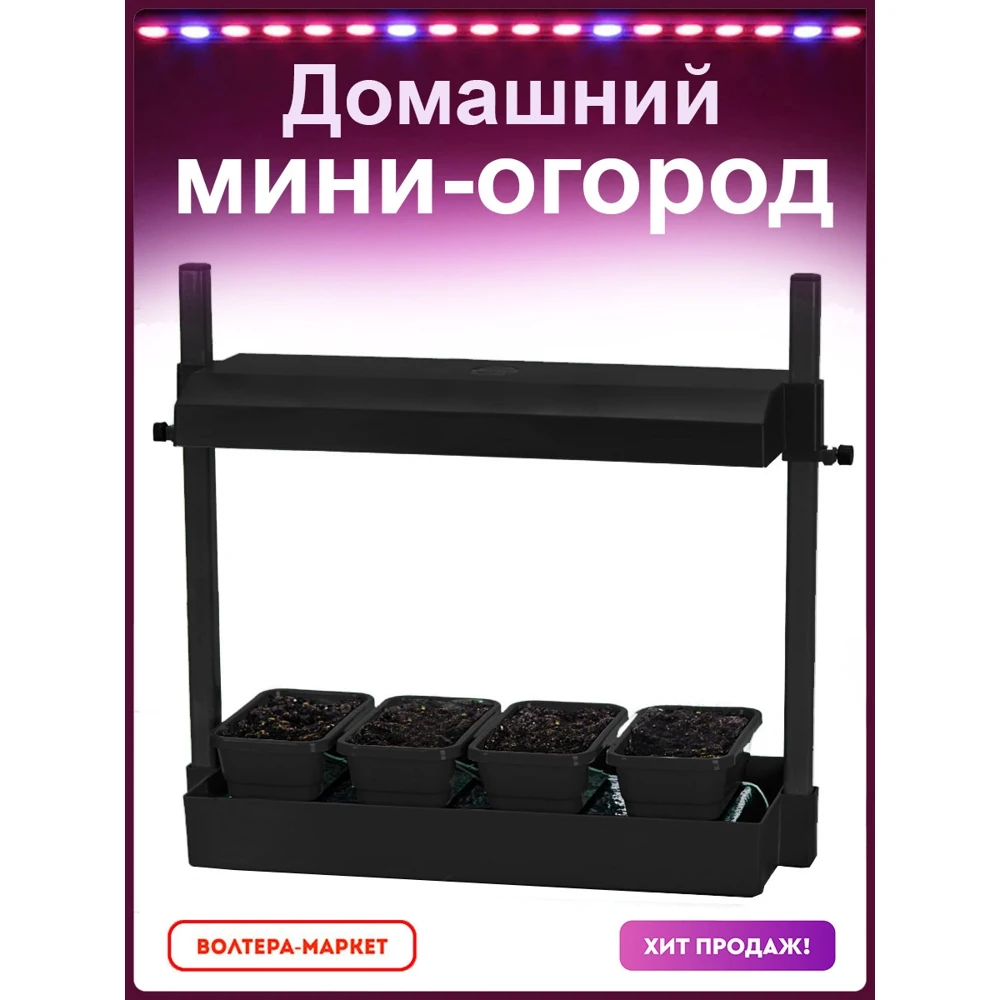 Домашний мини-огород &quotВолтера-Фито&quot цвет черный | Дом и сад