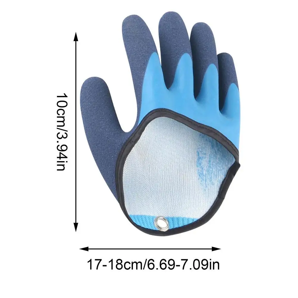 Slide image undefined