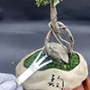 1Pc Stainless Steel Root Rake Bonsai Potted Plants 3-Prong Loosen Soil Tool Handheld Rustproof Rake Home Gardening Tool 21cm 4
