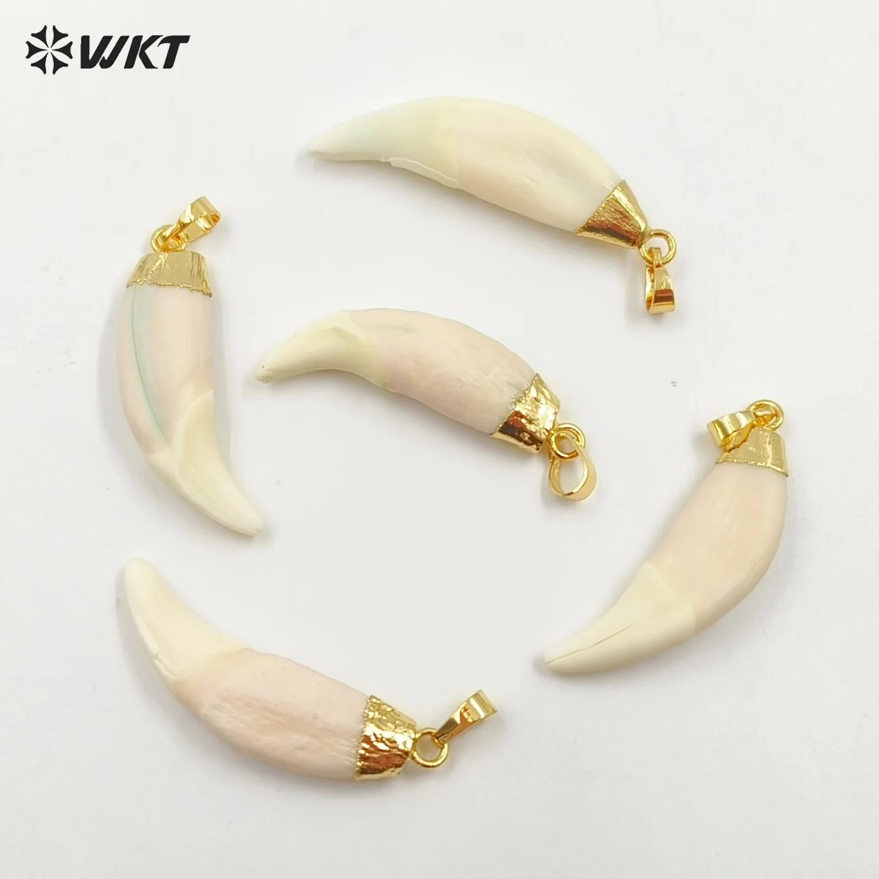 WT-P241 뜨거운 수제 Imatation 늑대 치아 쥬얼리 펜던트 패션 럭키 치아 펜던트