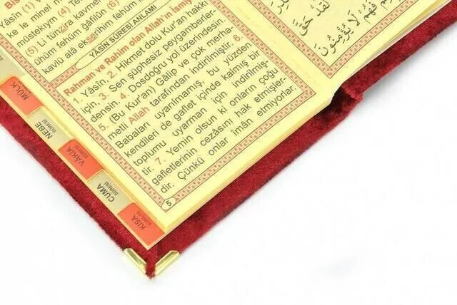 Рисунок 3 - Экономичная книга вельветовое покрытие