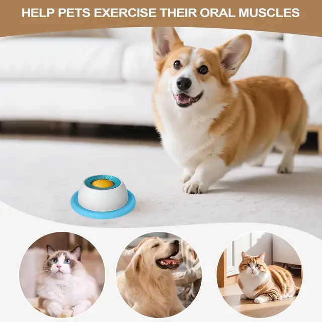 Pet Feeding Puzzle Toy 3