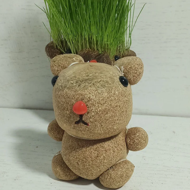 Yardwe Boîte De Plantation Hydroponique Pratique Pour Chats - Matériau Durable Et Sûr