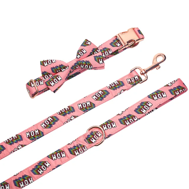 collar-bow-leash