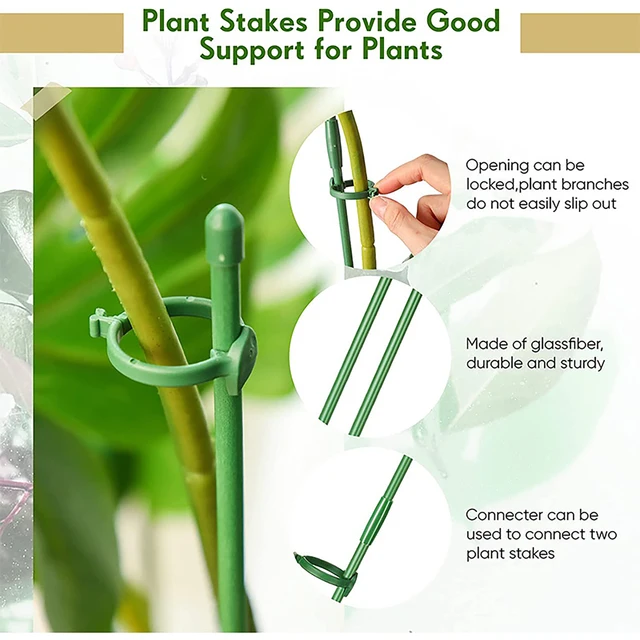 Kerti Támogató Szerszámok A Növény Tétje Újrafelhasználható És Környezetbarát Növényi Tét Díszes Művészi Kert Számára - Image 5