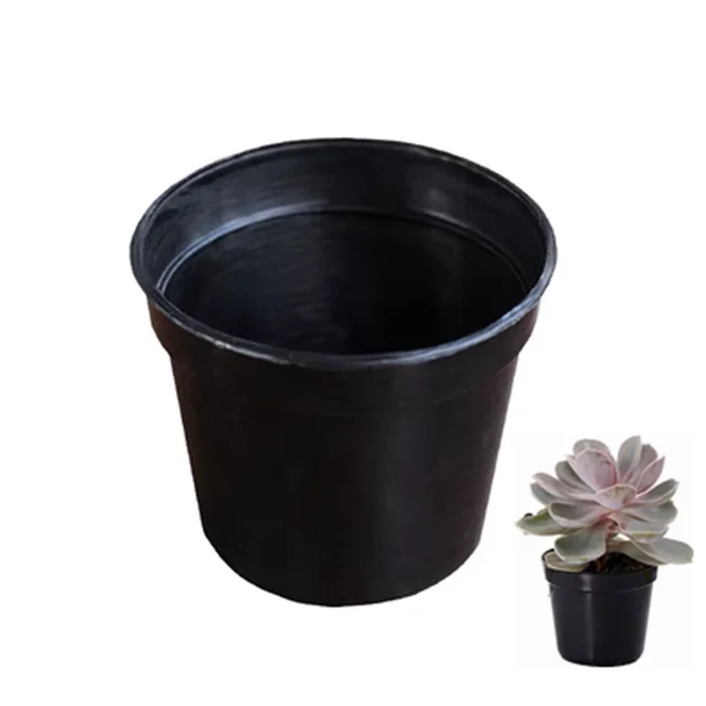 Black-10Pcs