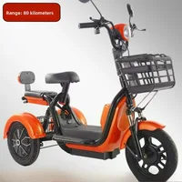 Electric Tricycle Adult Women Small Mini Elderly Transportation Leisure Battery 23ah 80KM