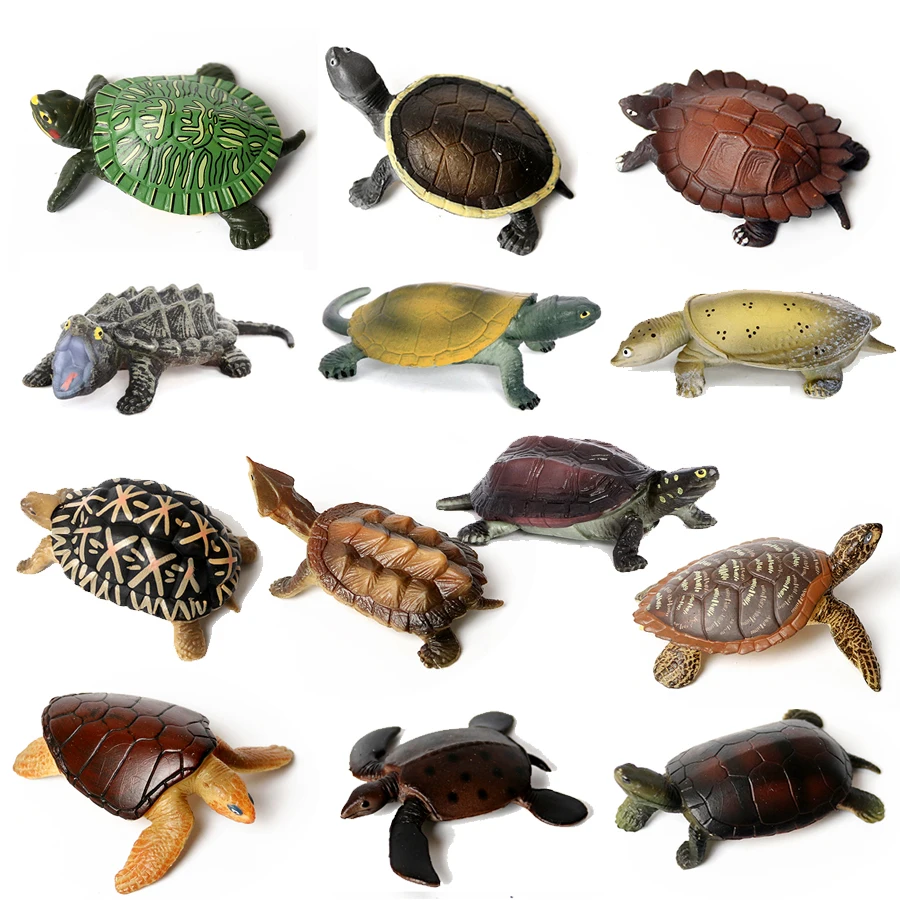 Realistic Sea Turtle Growth Cycle Educational Toy and Cake Topper Gift