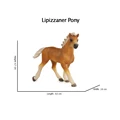 Lipizzaner 2