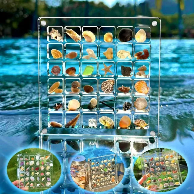 Grids Seashell Display Box Acrylic Magnetic Seashell Display Case Organizer Box Stackable Small Craft Compartment Boxd Bins 2