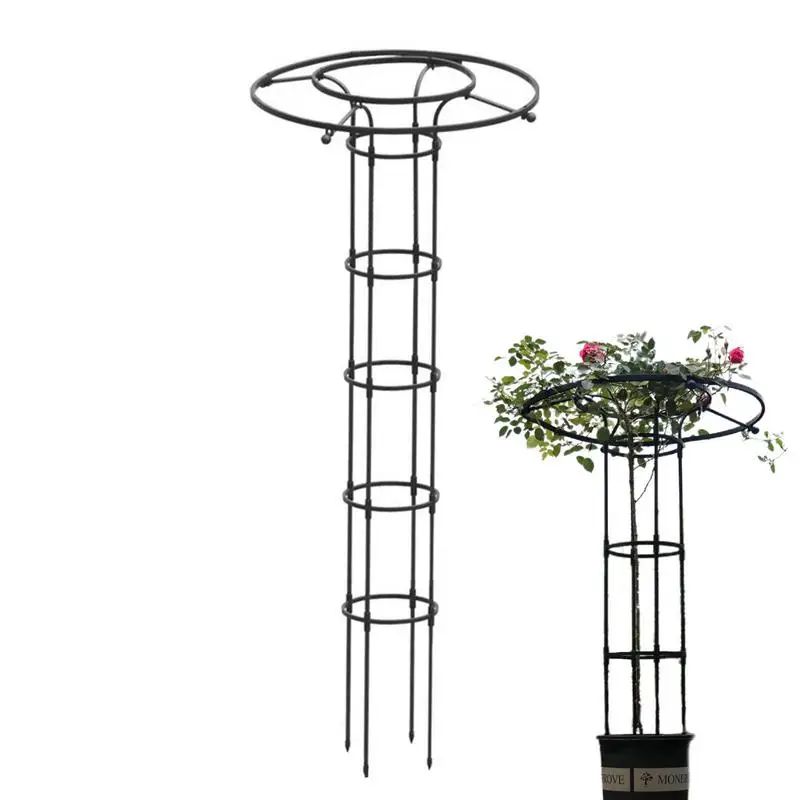 Vertical Garden Trellis Metal Wire Stake Trellis For Houseplant Rust-Proof Trellis Metal Support Frame Metal Vine Plant Support
