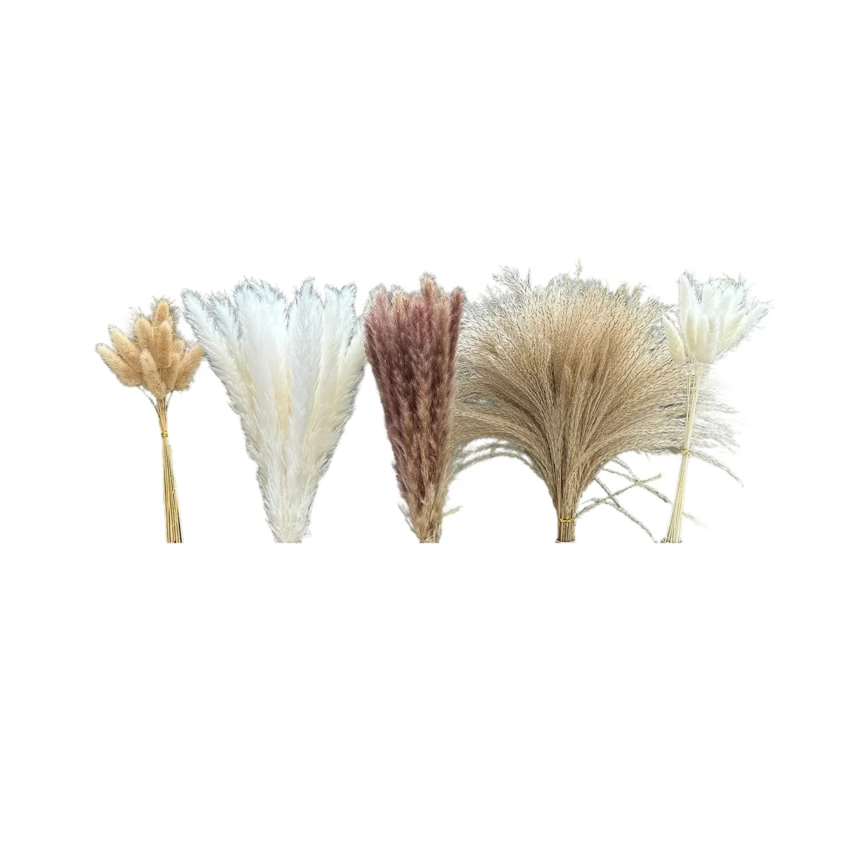 

150 шт. пампасная трава Boho Home Decor сушеные цветы-пампасная трава содержит кролик белые пампасы коричневые пампасы Декор