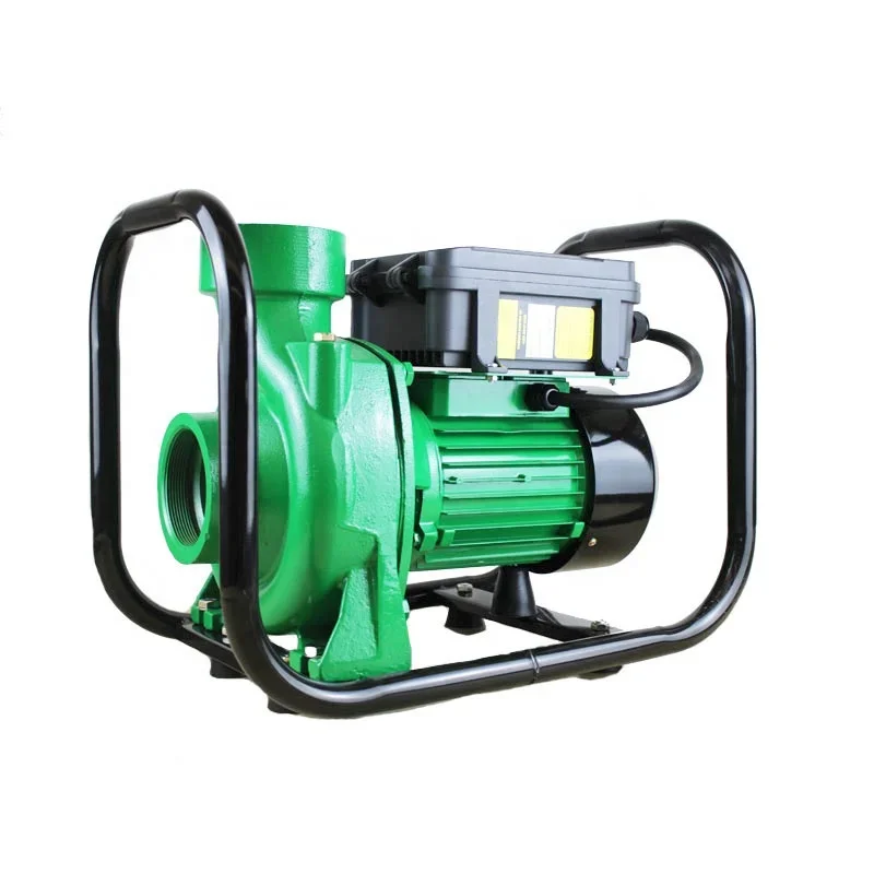 

110V 1500W 2HP DC Pompa Solar Water Pumps Bomba De Rega Solar Power Surface Centrifugal Water Pump for Agriculture Irrigation