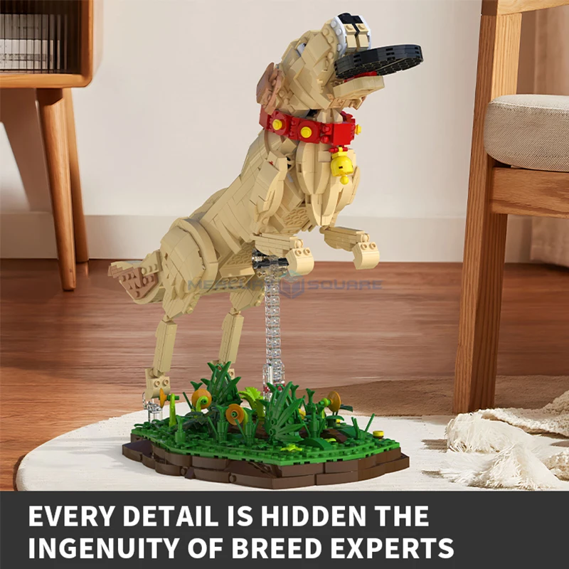 Labrador Retriever Model Back View