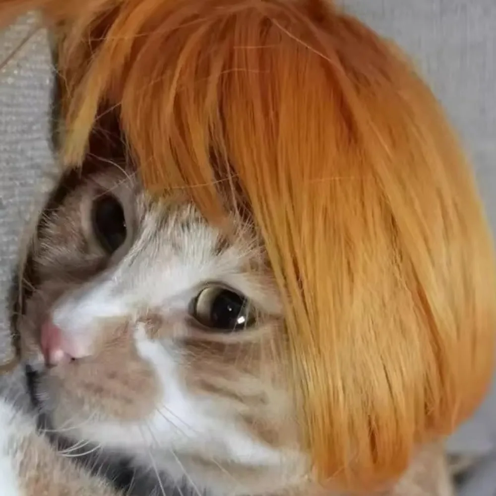 Colorful Adjustable Dog Wig 3