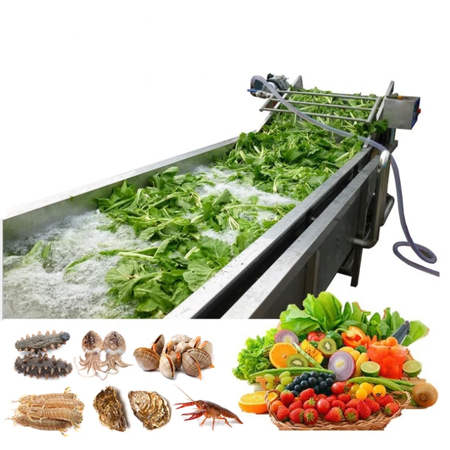 Fruit washing machine vegetable bubble washer leafy vegetable